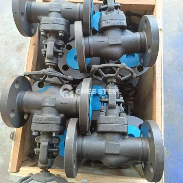 Forged Steel Gate Valve