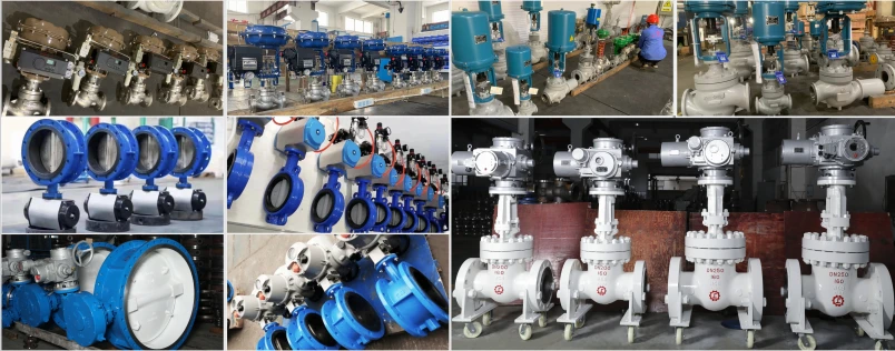 Lift Check Valve display Lift Check Valve display