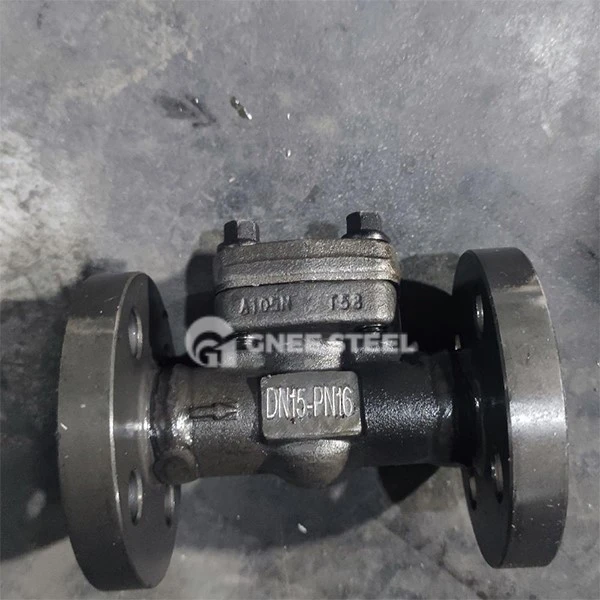 API 602 Piston Check Valve API 602 Piston Check Valve