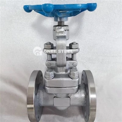 API 602 Globe ventili