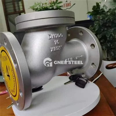 Ventil za provjeru kuglice od nehrđajućeg čelika